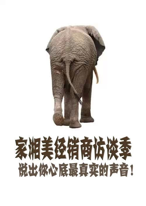 QQ圖片20150714172613.jpg