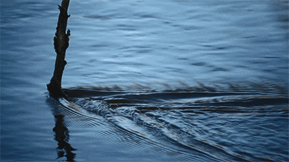 板材十大品牌家湘美.gif