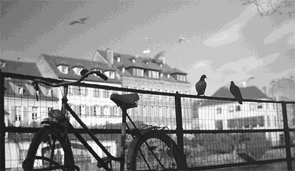 生態板十大品牌家湘美.gif